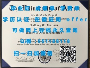 不伦瑞克工业大学学位证书揭秘