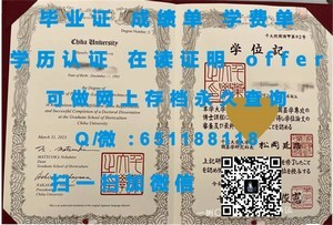 东北大学成绩单揭秘，学子学业成果一览