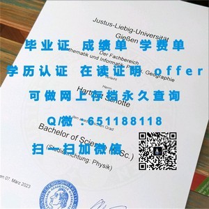 东部大学成绩单深度解析