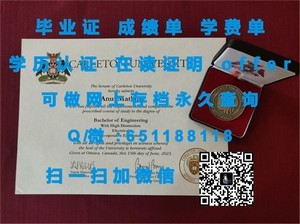 中央大学文凭，权威与认可的象征