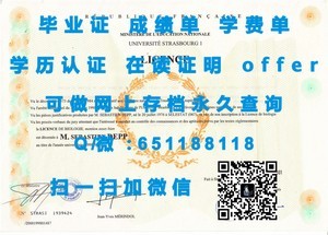 丹麦利利贝特大学官方成绩单揭秘