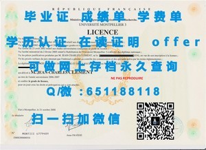丹麦奥尔胡斯商学院荣誉学位证书亮相