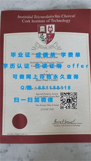 佛罗里达国际大学成绩单解读指南