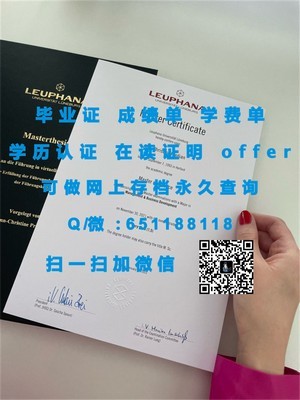 利莫瑞克理工学院成绩单展示