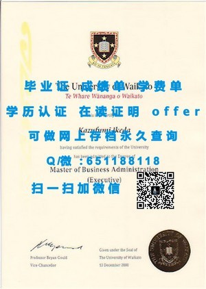 北德克萨斯大学成绩单解读指南