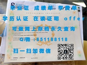 北海道大学文凭，国际认可的学术成就证书