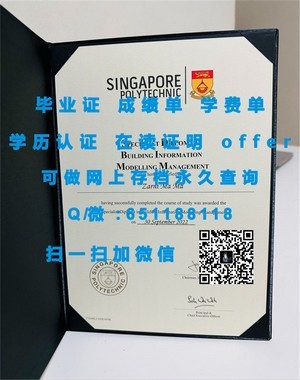 千叶大学学位证书深度解析