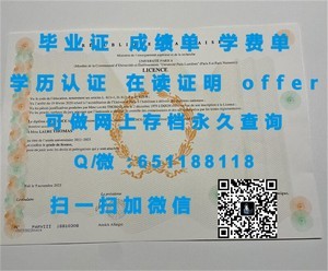 南丹麦大学毕业证书，展示丹麦高等教育成就