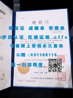 南安普顿大学学位证书揭秘