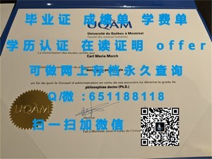 南安普顿索兰特大学官方学位证书揭秘