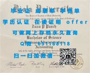 南安普顿索兰特大学文凭认证与价值解析