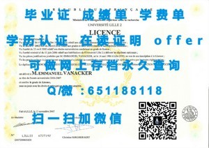 南康涅狄格州立大学文凭揭秘，价值与认可度探析