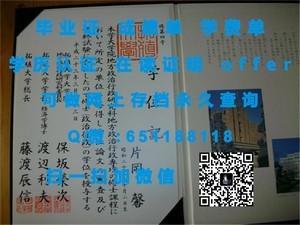 南非威特沃特斯兰德大学，国际认可的文凭之路