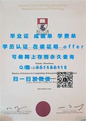 哥伦比亚大学学位证书的璀璨之光