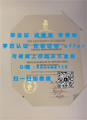 哥本哈根商学院成绩单揭秘