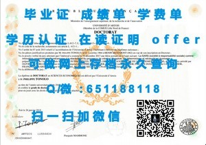 哥本哈根工程学院文凭解读与价值分析
