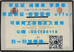 圣地亚哥大学文凭，开启学术与职业新篇章