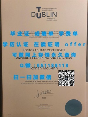外国语大学官方成绩单展示