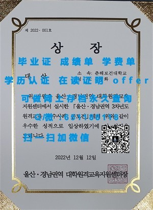 奥塔哥理工学院文凭，新西兰教育品质的象征