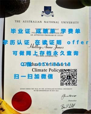 尼斯大学学术成绩单揭秘