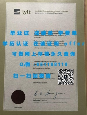巴黎十三大学成绩单揭秘