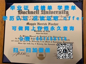巴黎第十二大学学术成绩报告