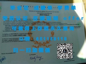 布里斯托大学荣誉学位证书揭晓