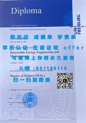 广岛大学毕业证书揭秘