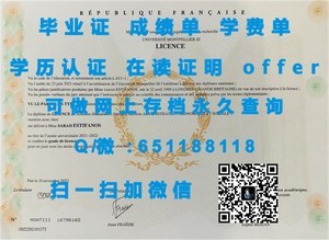 德蒙特福特大学官方成绩单揭秘