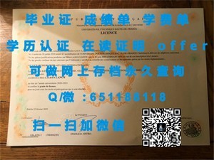 惠灵顿理工学院成绩单展示
