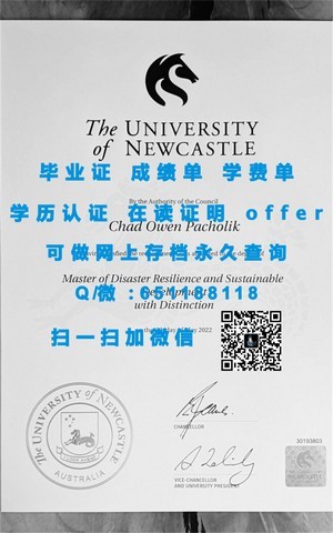 意大利比萨大学国际认可文凭揭秘