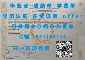 深度解析伦敦学院文凭的独特价值与全球认可度