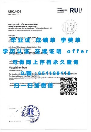 斯旺西大学成绩单详览，全面洞察学术成就