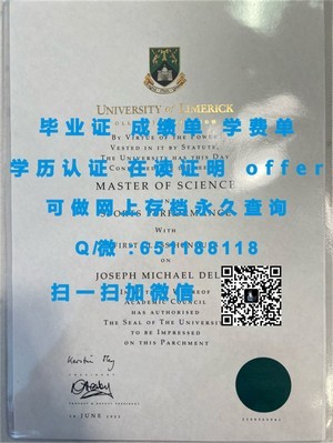 斯旺西大学文凭，国际化教育成就的象征