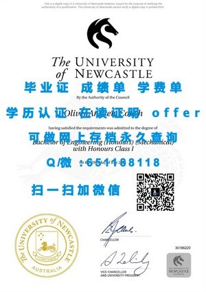 新加坡管理大学官方成绩单揭秘