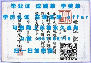 新南威尔士大学文凭，国际认可的学术成就证书