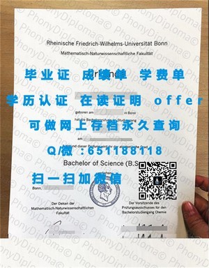 新布伦瑞克大学文凭，开启职业新篇章