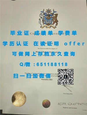 早稻田大学文凭，品质与实力的象征