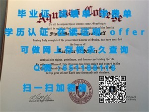 普利茅斯大学文凭，国际认可的学术成就