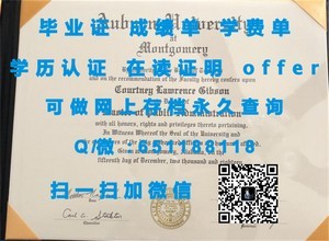 杜伊斯堡艾森综合大学学术成绩单展示