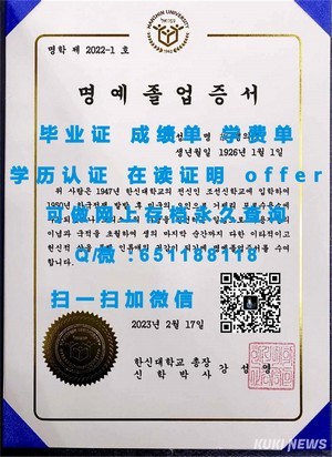 杜塞尔多夫大学官方成绩单解读