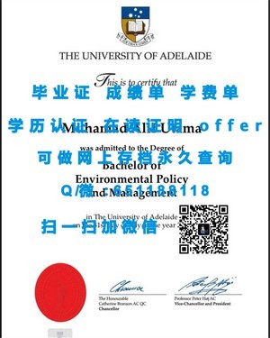 梅努斯大学成绩单解读