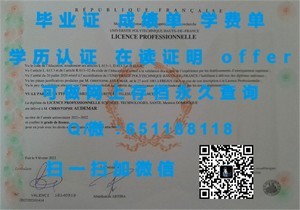 法国兰斯大学国际认可文凭揭晓