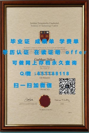 澳门城市大学学位证书揭秘