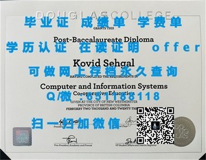 爱知淑德大学文凭，荣耀彰显学术与品德的荣誉证书