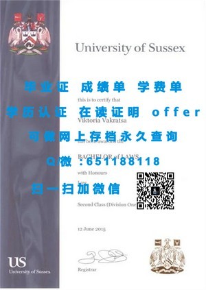 瑞尔森大学学位证书解析