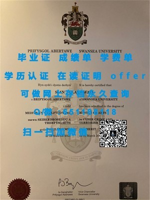 科罗拉多大学博尔德分校文凭，学术成就的象征