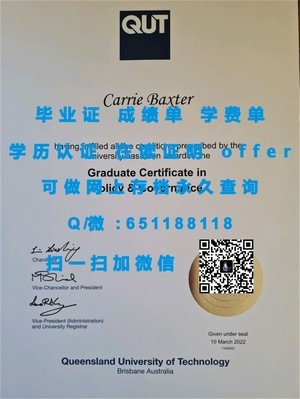 筑波大学文凭，学术成就的象征