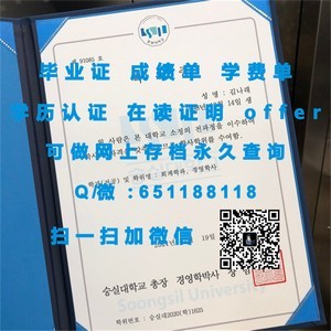 美国东北大学官方学位证书揭秘