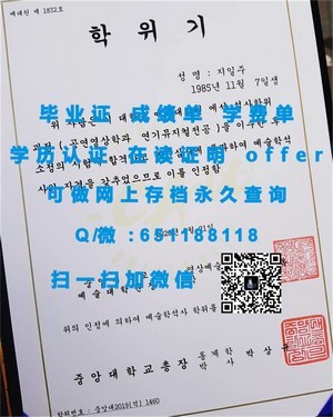 美国驾驶证与文凭的对比解析
